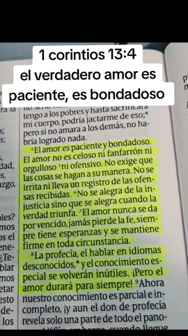 el amor es paciente 
