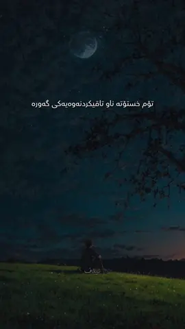سەبر بگرە تا پاداشتەکەت گەورە بێت ♥️ #elafxalil#kurdistan#turkey#drama#türkü#aşk#yagmur#foryou#film#explore#wta#allah#elaf#yargi#fypシ゚#keşfetbeni#vangogh#keşfet#hawler#tiktok#turkish#şarkı#viral