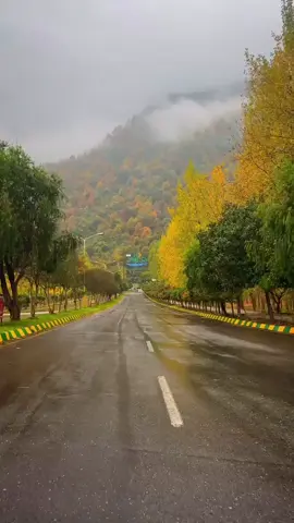 ايران 