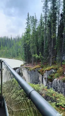 Sometimes someone in your life has the potential to become your first and last favorite person🫶🥰🐻#enjoythiswaterfallwithme#view #canadianrockies🇨🇦albertaadventure #naturelover #mountains #fypnadi