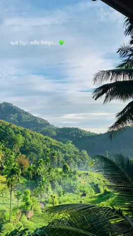 Morning views that heal the soul ✨  #foryou #fypシ゚ #viraltiktok #naturevibes #srilanka 