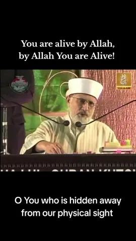 #deen #foreveryone #vairal #islamic_video #dawah #truth #prophetmuhammad #prophetmuhammadpbuh 