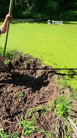 #uncloggingdrains #drain #relaxingvideos #cleaning #satisfying #satisfyingvideos #fyp 