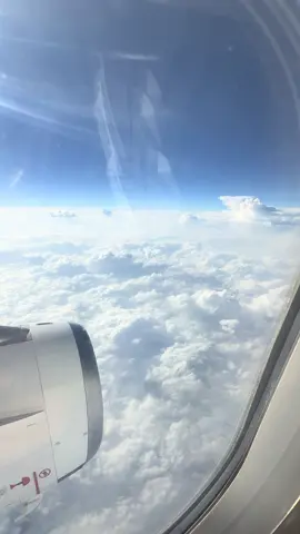 Somewhere above 25000 ft ✈️🛤️🛤️🇦🇪#AboveTheClouds #skyviewsdubai #windowview #skyaesthetic #airplanevibes  #tiktoktravel #FlyingHigh #fyp #flying #etihad #etihadairways #aviation #skywalker #travel #traveltok 