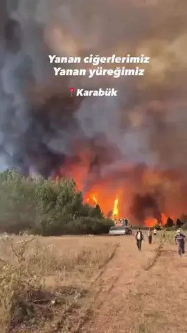 Karabük'te 29 Saattir Devam Eden Yangın Kontrol Altına Alınmasına Rağmen Rüzgarın Etkisiyle Yeniden Şiddetlendi  #karabük #ormanyangını #ormanlaryanmasin #sondakikahaberleri 