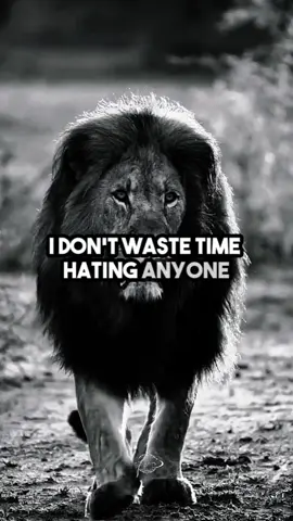 I don't waste my time... #quotes #motivation #usa #usa_tiktok #unfreezemyaccount #listentothiseveryday #growbeyondyourlimits #yourblessingiscoming #quotesoftheday #fyp #motivationalquotes #inspirationalquotes #motivationalspeeches #bravemind #stoicism #mindset #quotes #inspiration #peakmotivation #usa #fypシ 