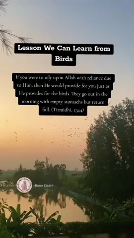 #alimaqadri #fyp #muslimtiktok #islamicreminder 