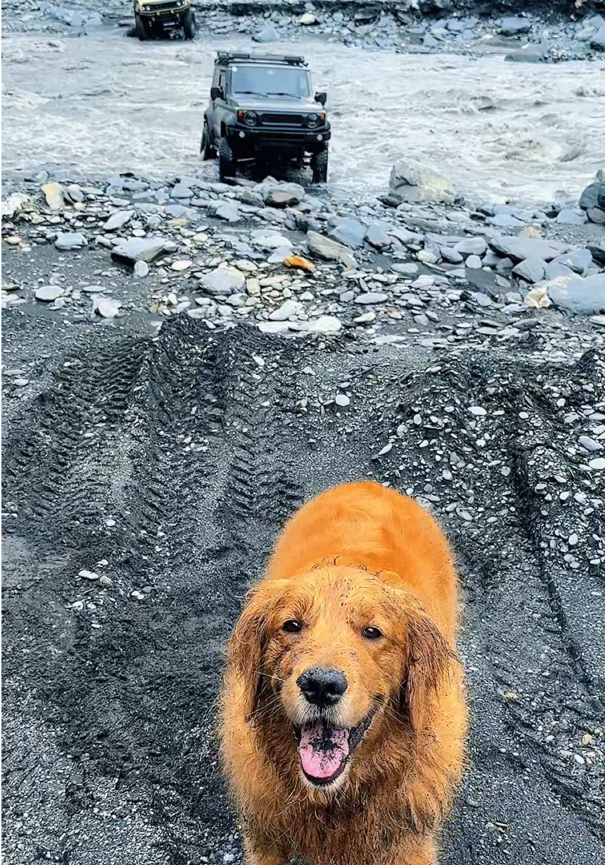 來都來了🫠 不踩一下水不甘願 看看今天是水黑還是臉黑😂 #jimny #offroad 