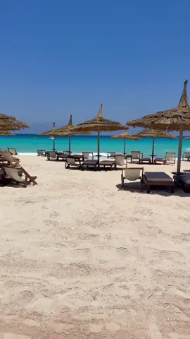 #beach #sahel #egypt #vacation #الساحل_الشرير #هايسندا 