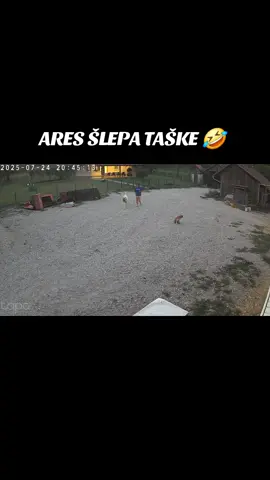 hahahahahahahhaha 🤣🤣🤣
