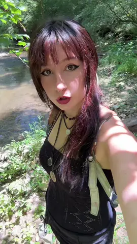 the audio kept cutting out for some reason but i did my best to make it work #nature #wildlife #explore #creek #rockhound 