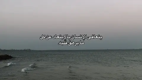 ما بحبهاش بس بستريح لما اكون لوحدي❤️‍🩹#fypツ #اقتباسات #خواطر #هدوء #عبارات 