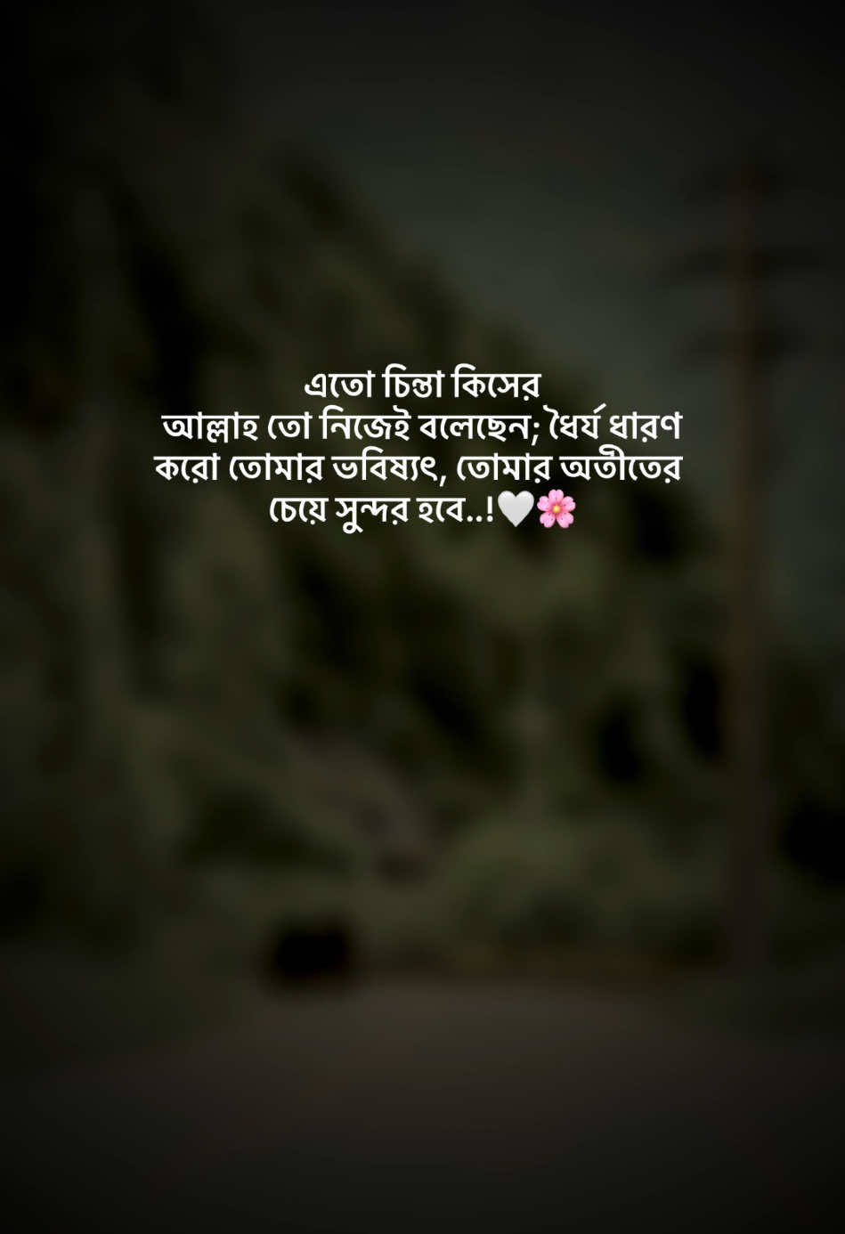 সুন্দর হবে..!🤍🌸#foryoupage #tiktokindia #foryou #fyp @TikTok 