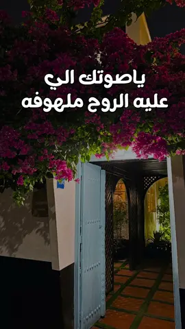 طلعو الشيله من راسي 😭❤️ #انا_فدى_وجهك #طبيعة #شيلات_ياسر_الشهراني 