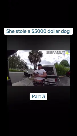 #DogNapper  #fyp #ThiefCaughtOnCam   #PetSnatcher   #CaughtInTheAct   #SheDidWhat   #AnimalJustice   #PoliceFootage  #policeofficer  #PetTheft #CaughtRedHanded  