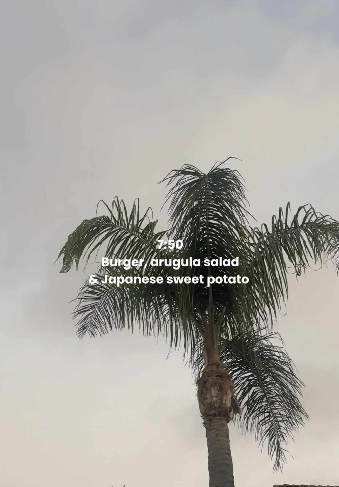 What I Eat In a Day Focusing on Whole Foods🍋🍳🍔🍫 @Wandering Bear @Beekeeper’s Naturals @Wild West Chocolate @Jovial Foods #whatieatinaday #whatieat #wieiad #wieiadrealistic #wholefoods 