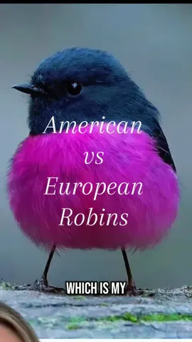 I feel scammed guys  #AnimalFacts #WeirdNature #BirdTok #DidYouKnow #FunFact #greenscreen 