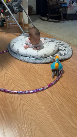 For all the tummy time stage moms out there, my mom saw this in a video and bought the stuff for my baby girl to try it and she can last about 4 times longer in tummy time before she remembers that she hates it! Total win! 10/10 recommend.#MomsofTikTok #momlife #baby #tummytime #fyp 
