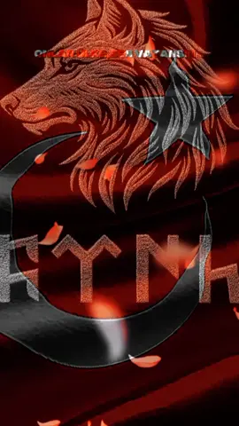 #CapCut #ülküocakları #mhp #keşfette 