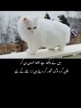 #fyp#fypvirl#virlvideo#sadpoetry
