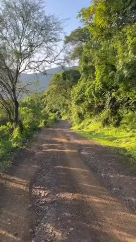 quisiera ser una lágrima Los traileros del Norte#TRAVEL✈️🛬🛫 #TIKTOKUSA🇲🇽🇺🇸🇲🇽 #TIKTOKMEXICO🇲🇽 #TIKTOKUSA🇺🇸TIKTOKCASINOS🇺🇸 #TIKTOKLASVEGAS🇺🇸 #fypシ゚viral 
