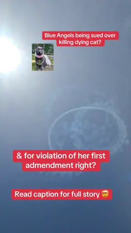 Seattle Woman Sues Navy’s Blue Angels After Jets Allegedly “Terrorize” Her Dying Cat 🐱✈️ SEATTLE, July 21, 2025 — In a lawsuit filed this week in the U.S. District Court for Western Washington, Seattle resident Lauren Ann Lombardi accuses the U.S. Navy’s elite flight demonstration team—the Blue Angels—of causing her terminally ill cat’s suffering and silencing her through social media censorship.           Lombardi alleges that the deafening roar of Blue Angels’ F/A‑18 Super Hornets during demonstrations over Puget Sound in August 2023 and 2024 triggered fatal panic attacks in Layla, her elderly cat, who was suffering from congestive heart disease. She says Layla endured elevated heart rate and fear before being euthanized in August 2024. When Lombardi criticized the Blue Angels on their official Instagram account with profanity‑laced posts and a Change.org petition titled “We All Want to Feel Safe: No More Blue Angels Over Seattle,” she was blocked by their account—an act she alleges violated her First Amendment rights. The lawsuit, filed July 21, seeks declaratory and injunctive relief, requiring the Navy to unblock her and mandate First Amendment awareness training for its personnel. Legal documents note that over 74,000 Puget Sound residents are exposed annually to jet noise levels linked to health risks like hearing damage, hypertension, sleep disruption, and stress. It also cites studies on marine life disruption, particularly orcas affected by underwater noise pollution. The case is assigned to Judge J. L. Robart, and a hearing schedule has not yet been released. The lawsuit targets Commander Adam Bryan, Lt. Ben Bushong, and an unidentified social‑media administrator at the Blue Angels. #BlueAngelsLawsuit #FirstAmendment #JetNoise #SeattleNews #CatLovers #AnimalRights #EnvironmentalHealth #MilitaryOversight #SeattleWA #NoisePollution #FreeSpeech #PugetSound