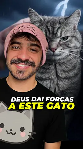 Não acredito não Márcia! 😾  #gatos #fy #react 