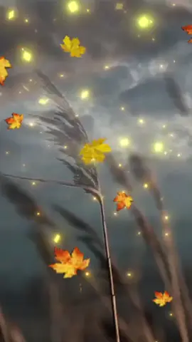 صباح الخير صباح الورد والياسمين 🌸 صباح الجوري 🌹صباحكم احلا صباح 🥰 صباحكم مسك وعمبر 💐 فيروز فيروزيات مسيقى هادئة 😘🎶💎❤️🌷💕💝❤️‍🔥💞💋😍🤗😘💓💕  #صباح_الخير 🌹💞🤗😘💋🌷  #صباحكم_أحلى_صباح 😍💗💖☺️  #فيروز 👑🩵💝💓💎❤️🇱🇧  #فيروزيات 🇱🇧💎🇱🇧💎🇱🇧💓💞  #فيروزيات_صباحي_وقهوتي   #طربيات_الزمن_الجميل   #موسيقى_هادئه   #فيروزيات_الصباح   #طرب   #اكسبلور   #لبنان🇱🇧   #لبنان_مصر_الخليج_سوريا   #تركيا🇹🇷اسطنبول   #الامارات_العربية_المتحده🇦🇪   #المغرب🇲🇦تونس🇹🇳الجزائر🇩🇿   #مصر_السعوديه_العراق_فلسطين   #العراق_السعوديه_الاردن_الخليج   💕💓😘🤗😍💋💞❤️‍🔥💝🌷❤️💎🎶💐🥰🌹🌸🌺💖☺️😂💗👑🔥🩵🤍🩷❣️💯✨🌟💫😉💘😍🤩❣️💕💌💋😘🤗💖❤️  