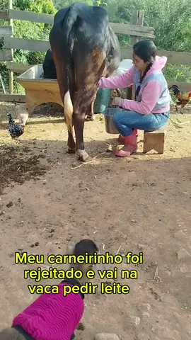 meu amor ❤️ #roça #roçaafazenda #roçacaipira #vidanocampo #vidanaroça 