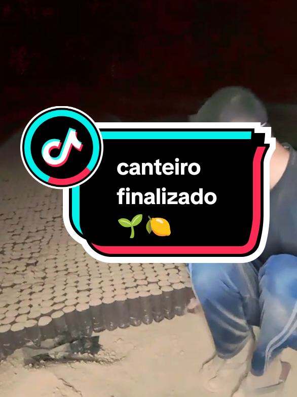 canteiro finalizado 🌱🍋#live #viraliza #trabalho #viral #fãclube 