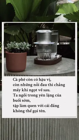 Cà phê còn có hậu vị, còn những nỗi đau thì chẳng mấy khi ngọt về sau. Ta ngồi trong yên lặng của buổi sớm, tập làm quen với cái đắng không thể gọi tên. #tramcaphecamxuc #fyp #caphe #coffee #xuhuong #den #nguyenchat 