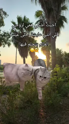 #Meme #MemeCut #CapCut #fyp #تصميمي❤️ #تصاميم_فيديوهات🎵🎤🎬 #لا_تظلمني_يا_ظالم🥲🙇‍♀️ 