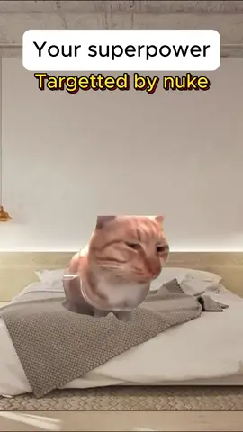 follow for more 😸😺😺😺  #catsoftiktok #catmemes #cat #relatable #fyp 