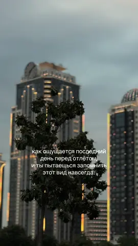 #chechen #грозный #grozny #чечня 