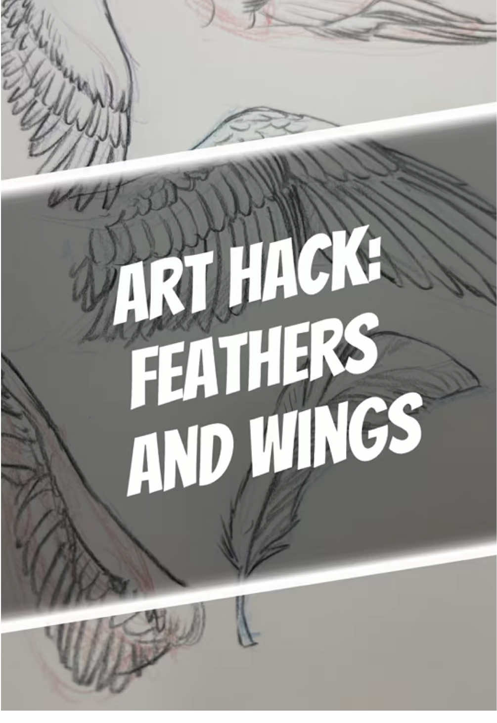 I don’t often draw wings, but when I do, it’s good to have a basic knowledge of feathers and wing structure. So let’s talk about it and break it down! #arthacks #howtodraw #feather #wings #bird #angel 