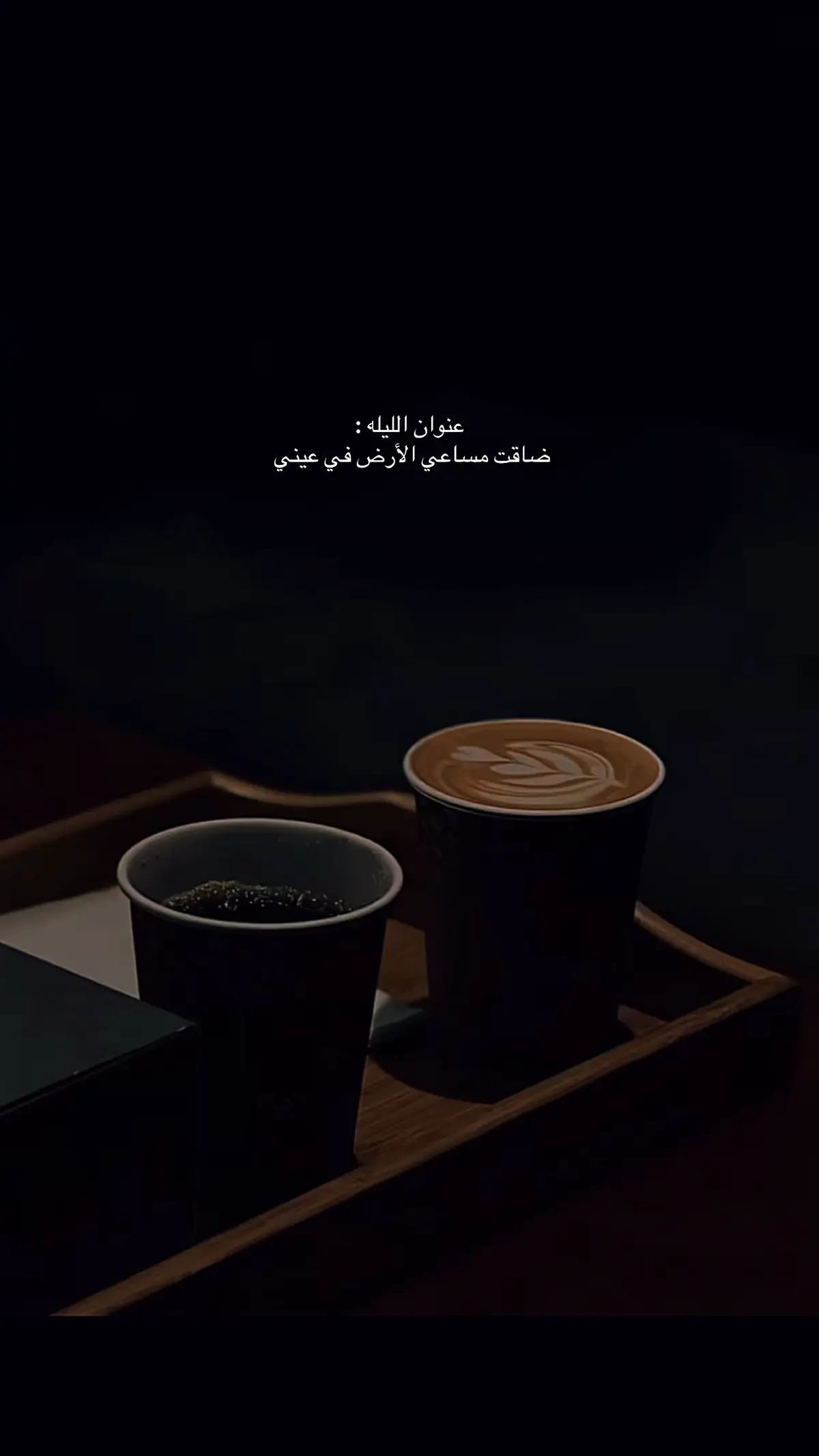 ضاقت مساعي الارض في عيني  #بدون_هشتاق #بدون_توقيع #بدون_موسيقي #بدون_تعليق 