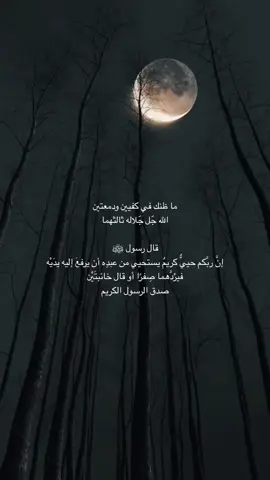 ما ظنك في كفيين ودمعتين الله جّل جّلاله ثالثهما  قال رسول ﷺ  إنَّ ربَّكم حييٌّ كريمٌ يستحيي من عبدِه أن يرفعَ إليه يدَيْه فيرُدَّهما صِفرًا أو قال خائبتَيْن  صدق الرسول الكريم #fyppppppppppppppppppppppp #اكسبلور #اكسبلورexplore #foryoupage #tiktokarab #foryou #fyp #دعاء #استجابة_الدعاء 