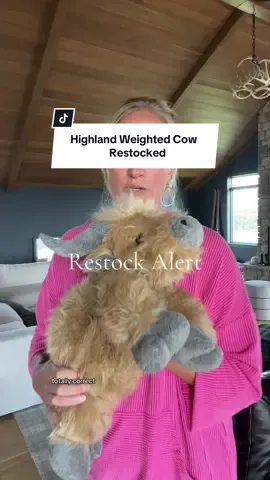 Restocked but won’t be available for long. #highlandcow #sensoryissues #weightedstuffedanimal #giftideas 