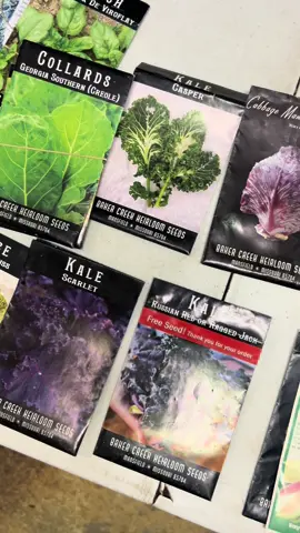 Believe it or not, we’re over here planning for fall…😱🥦🎃🥬 What are some of your fall favorites you’d like to see at our  fall plant sale?? #fall #fallplanting #peninsulahydroponics #hrva #iykyk #brassica #broccoli #cauliflower #collards #beets #cabbage #carrots #hampton #growyourown #shopsmall #garden #gardening #organic #fallgarden #supportlocal #nonGMO #buylocal #onestopgrowshop #vegan #supportsmallbusiness