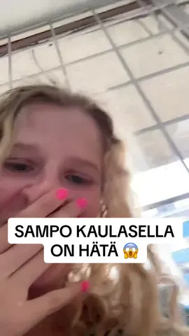 #kauppias sampo kaulanen #prisma #alepa #kmarket #kauppa #smarket  #cittari 