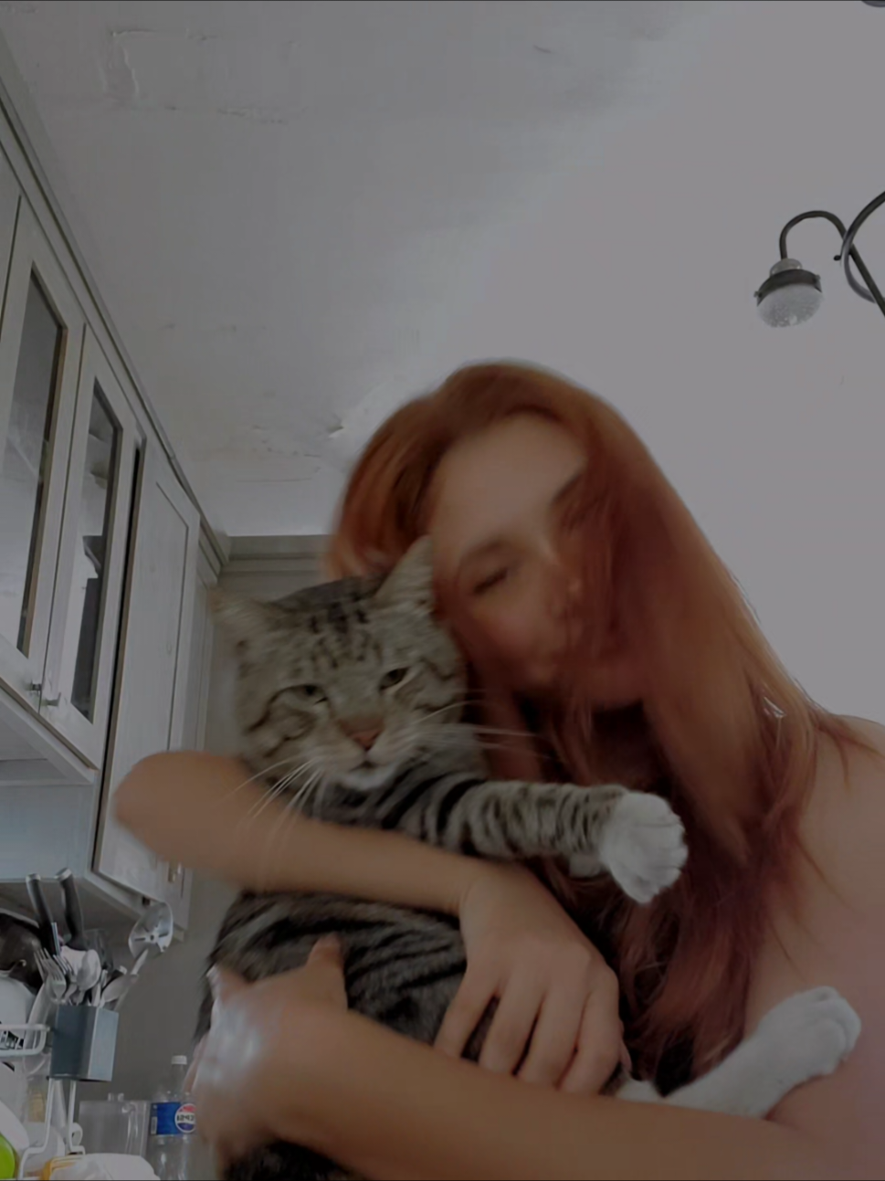 pero el no a mi😭 #mandchild #sabrinacarpenter #cat #gatos #contenido #paratii #fyp 