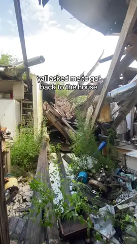 too much mold and it just rained, so its dangerous to go deeper. last time I crawled in under the ceiling that caved in (in the video) to get to the bedroom. #fyp #foryou #foryoupage #viral #makemefamous #trend #trending #cringe #abandoned #explore 