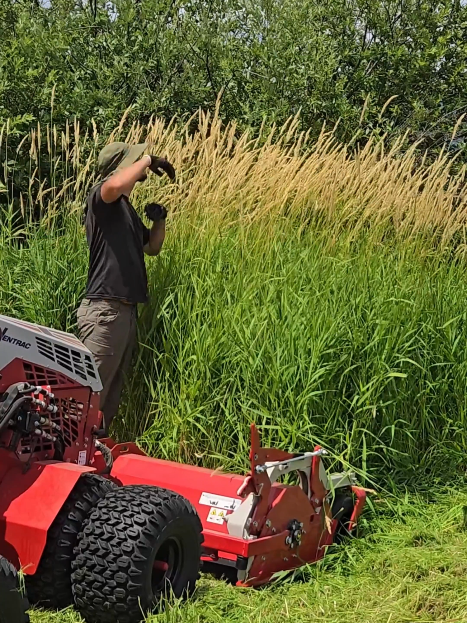 Blink & You'll Miss 🌿#mowing #fyp #ventrac #cleanup #foryou #satisfying #lawncare #lawns #cleaning #CleanTok #lawntok #relaxing #soothing #viral #viralvideo #fillslawncare