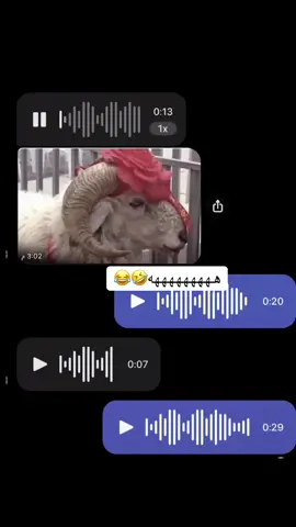 #الشعب_الصيني_ماله_حل😂😂 #fyp #foryou #funny #لايك_متابعه_اكسبلور #تضحك #صميم_فيديوهات🎶🎤🎬 #viral #اكسبلورexplore #ضحكة #بصمة #ضحك😂 #بصمات  @كرار عماد 