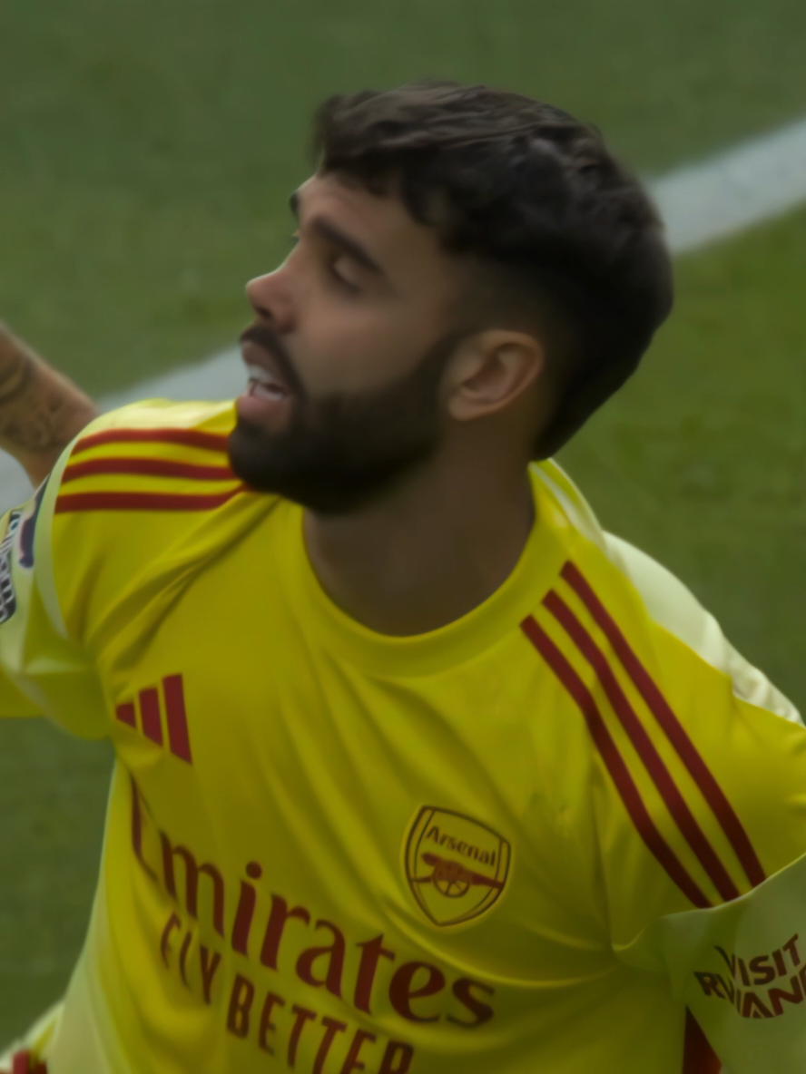 David Raya the best itw // #arsenal • #fyp • #edit • #davidraya • #arsenal 