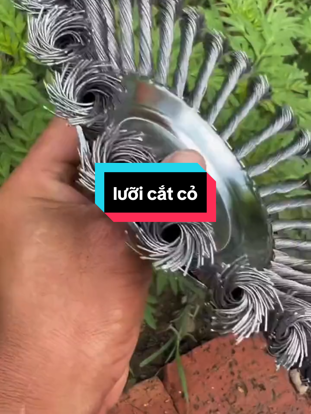 Lưỡi cắt cỏ sợi thép #dcgr #foryou #luoicat #luoicatcothongminh #luoicatco #dungculamvuon #donghecongnghe5 