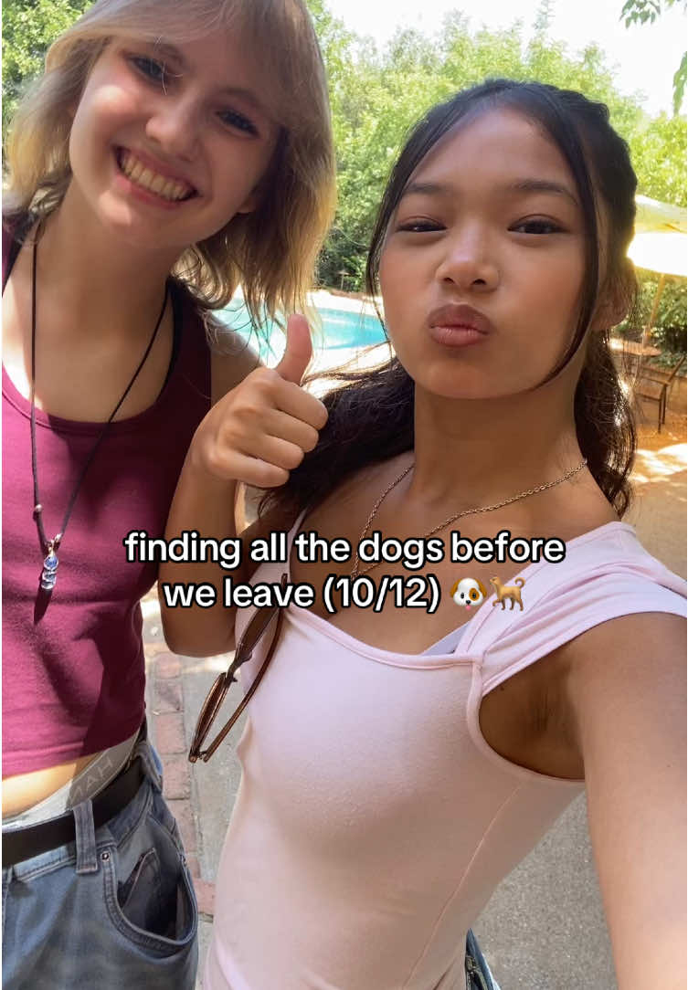 dump coming soon 😜 #fypシ #dogsoftiktok #wlw #wlwcouple #farm 