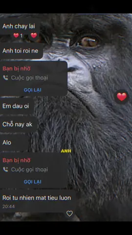 Bớt dễ thương lại có được không dạ 🐼#bestfriend #conongchamchi 