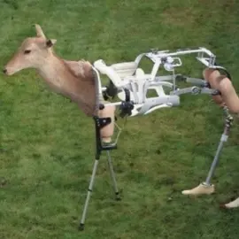#imparsthetic #weird 