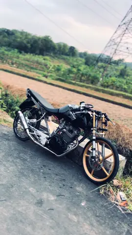 #herex1200m #bacaratgank #herexstyle #tigertrondol #fypシ #xyzbca 
